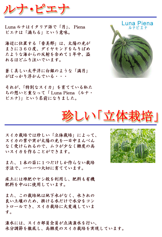 ��ʡ��ԥ��� ��2kg ����̵�� ��餹���� ���ٸ����� ���θ����Į�� ����ں��ι�餹���� ���ե� �ץ쥼��� ���� ������ �� ����ľ�� ���渵 ��ˤ� �л��ˤ� �뺧�ˤ� ���ˤ� ���֤� ��������