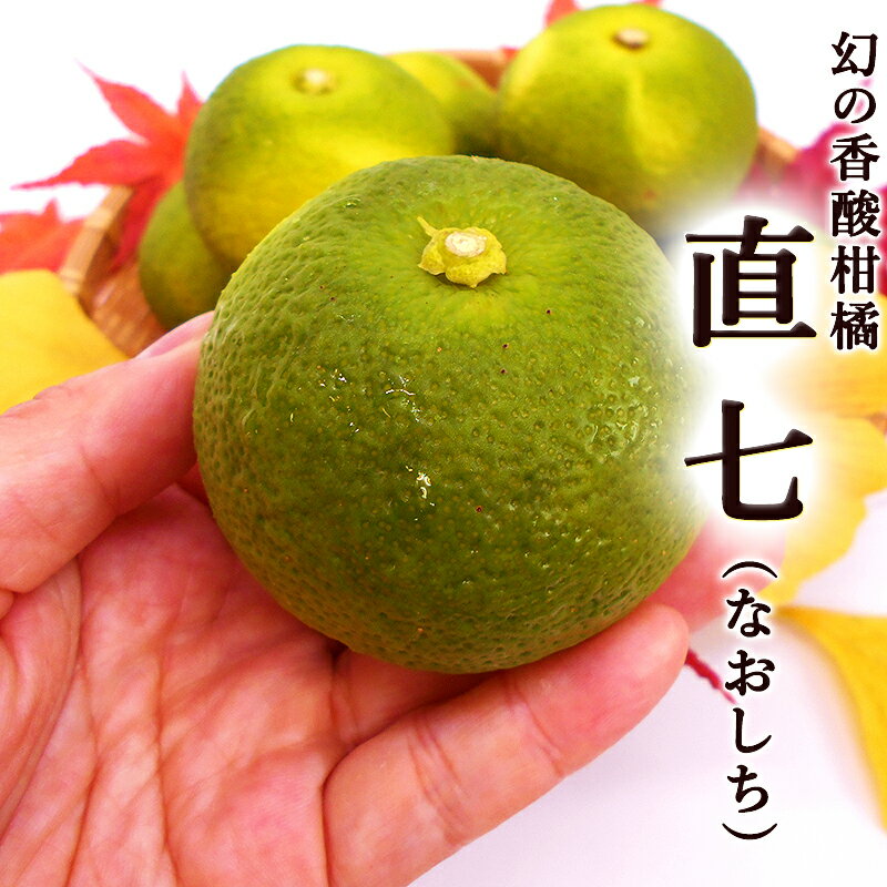 直七 なおしち 約1kg 高知産 6～14玉ほど 土佐の酢みかん 直七すだち 田熊すだち ご家庭用 大小バラバラ やわらかな酸味 幻の香酸柑橘 魚料理 刺身