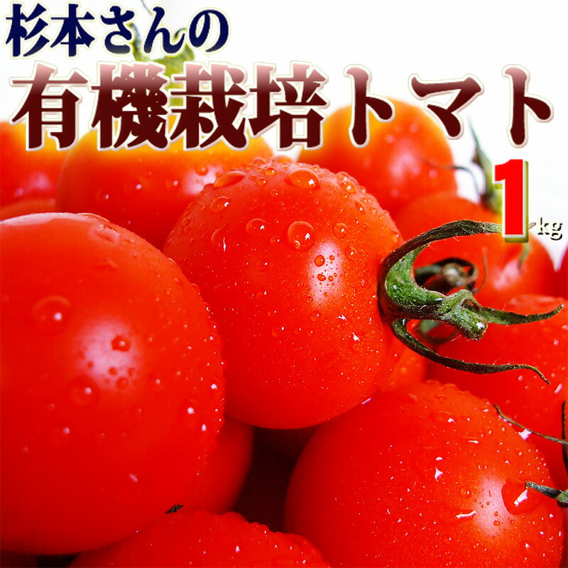 杉本さんの 有機栽培トマト 約1キロ 有機栽培 高知県大豊町産 有機JAS認定 農薬不使用 国産 糖度 トマト 中玉トマト 高級 健康 安心安全 ギフト プレゼント はるひ畑 ジュース ゼリー