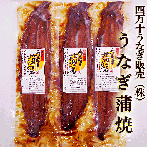 四万十うなぎ（株） うなぎ蒲焼 約150g×3尾セット 送料無料 大サイズ 高知産 うなぎ ウナギ 鰻 蒲焼き 国産 四万十川 秘伝のタレ ふっくら 土用丑の日 敬老の日 ギフト プレゼント 内祝い お返し 誕生日 お歳暮 お中元のサムネイル