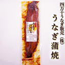 四万十うなぎ(株) うなぎ蒲焼 約150g タレ・山椒つき 特大サイズ 高知産 うなぎ 通販 国産うなぎ お取り寄せ 鰻の蒲焼 蒲焼き うなぎ..