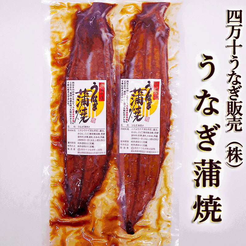 四万十うなぎ（株） うなぎ蒲焼 約150g×2尾 送料無料 タレ・山椒つき 特大サイズ 高知産 うなぎ ウナギ 鰻 蒲焼き 国産 四万十川 秘伝のタレ 土用丑の日 ギフト お歳暮 お中元