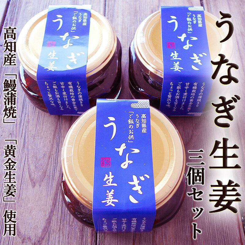 うなぎ生姜 80g×3個セット 高知産鰻と高知産黄金生姜使用 ご飯のお供、酒の肴に ギフト 高知産 うなぎ ウナギ 鰻 蒲焼き 国産 土用丑の日 敬老の日 ギフト プレゼント 内祝い お返し 誕生日 お歳暮 お中元