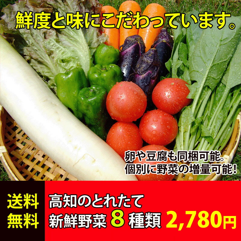 ★送料無料 「とれたて野菜」 8種類セット詰め合わせ 高知産 レシピ・追加機能付き ★ [Qv10]