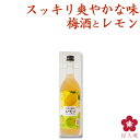 紀州の梅酒とレモン レモン梅酒 720ml 四合瓶 箱入り プレゼント ギフト カクテル梅酒 甘い梅酒 フルーティー さっぱり ロック ソーダ割り アレンジ 料理に合う 和歌山 南高梅 UMESHUfor(4)
