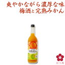 紀州の梅酒と完熟みかん 720ml 四合瓶 カクテル梅酒 甘い梅酒 フルーティー さっぱり ロック ソーダ割り アレンジ 料理に合う 和歌山 南高梅 UMESHUfor
