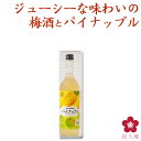 紀州の梅酒とパイナップル梅酒 720ml 箱入り プレゼント ギフト カクテル梅酒 甘い梅酒 フルーティー さっぱり ロック ソーダ割り アレンジ 料理に合う 和歌山 南高梅 UMESHUfor