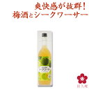 紀州の梅酒とシークワーサー 720ml 四合瓶 箱入り プレゼント ギフト カクテル梅酒 甘い梅酒 フルーティー さっぱり ロック ソーダ割り アレンジ 料理に合う 和歌山 南高梅 UMESHUfor