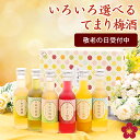 梅酒 敬老の日 飲み比べセット お酒 プレゼント 蜂蜜梅酒 なでしこのお酒てまり 奥さん 妻 奥様 花以外 おしゃれ かわいい 人気 送料無料 UMESHUfor ss09
