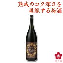 プレゼント プレゼント 梅酒 ギフト 手土産 お酒 チョコに合う 長期熟成梅酒 香る南高 VINTAGE GI和歌山梅酒 テレビ お祝い 内祝い 南高梅 和歌山...