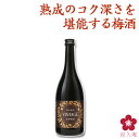 梅酒 お酒 チョコに合う 長期熟成梅酒 香る南高 VINTAGE 720ml 四合瓶 GI和歌山梅酒 テレビ お祝い 内祝い 南高梅 和歌山 本格 UMESHU...