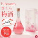 梅酒 母の日 早割 お酒 ギフト 誕生日プレゼント 手土産 女性 かわいい 絶対喜ぶ 可愛い blossom さくら梅酒 瓶がおしゃれ 人気 成人式 女子 飲みやすい 送料無料 誕生日 お祝い 出産 ...