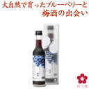 【ブルーベリー梅酒：300ml：リキュール：箱入り】大自然で育ったブルーベリーと梅酒[中野BC]【中元/夏ギフト/梅酒/手土産/紀州南高梅/モンド金賞/楽天】[017143]