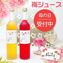 アサヒ ほっとレモン 希釈用470mlプラスチックボトル×1ケース（全12本）新商品 新発売 送料無料