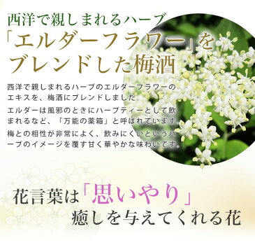 お酒 梅酒 ギフト 送料無料 ギフト プレゼント ギフト 女性 絶対喜ぶ お酒 可愛い リキュール おしゃれ 花梅酒 elder flower 赤箱【花 女性 誕生日 プレゼント お祝い エルダーフラワー お酒 出産 内祝い】GIFT