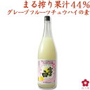 グレープフルーツチュウハイの素 業務用 家飲み チューハイ サワー の割り材に！果汁たっぷり 45杯分 1800ml 一押しくん 富士白チュウハイの素 和歌山 希釈用 中野BC 長久庵 楽天