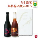 母の日 まだ間に合う 梅酒 飲み比べセット ギフト プレゼント 送料無料 贈り物 GI和歌山梅酒 指定 本格梅酒 紅南高 長期熟成 長久 日本一 グランプリ 受賞