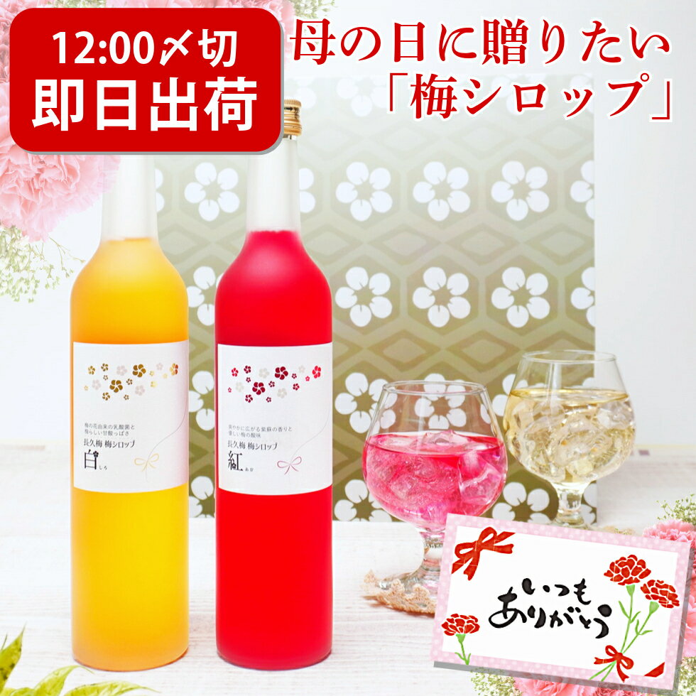 【キャプテンシロップ】プレミアム 黄金生姜 600ml (瓶)・希釈用 ／ 高知県産・ 瀬戸内産レモン使用 [中村商店]