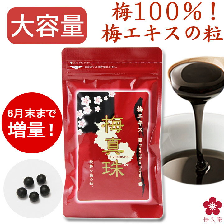 恒食 紀州梅100% 梅肉エキス 粒タイプ 90g 6個セット【送料無料】