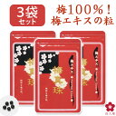 梅肉エキス 280g（化粧箱・瓶）【国内産梅肉100％使用/紀州産/青梅しぼり汁使用/クエン酸・ミネラル豊富】【ウメケン】【05P03Dec16】