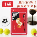 梅肉エキス 梅エキス 粒 クエン酸 健康食品 サプリ 国産 サプリ サプリメントムメフラール 元気 無添加 国産 健康 予防 対策 送料無料 食品 新聞 日本一...