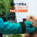 ペットグローブ 犬 猫 ロング 噛みつき防止 手袋 牛革 耐摩耗性 耐熱性 噛みつき 防止 嚙まれても痛くない 引っかき 厚手 保護手袋 爬虫類 園芸