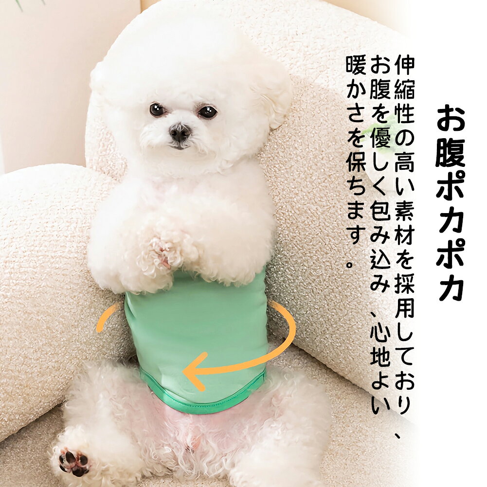 Choly Lifeの犬 マナーベルト パンツ マナーパンツ ベルト マナーウェア マナー用品 犬用サニタリーパンツ おむつ 介護 マーキング防止 ストレッチ のびのび ドックウェア 服 しつけ 介護用品 シンプル おしゃれ｜アングル3