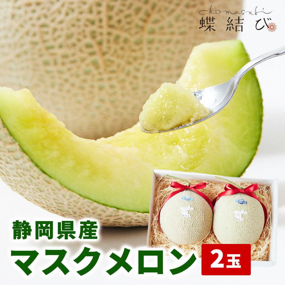 マスクメロン【2玉】 静岡県産 ブランド ブランドメロン 果物 フルーツ ギフト 冬ギフト フルーツギフト プレゼントホワイトデー 内祝 熨斗 包装紙 メッセージカード付 蝶結び