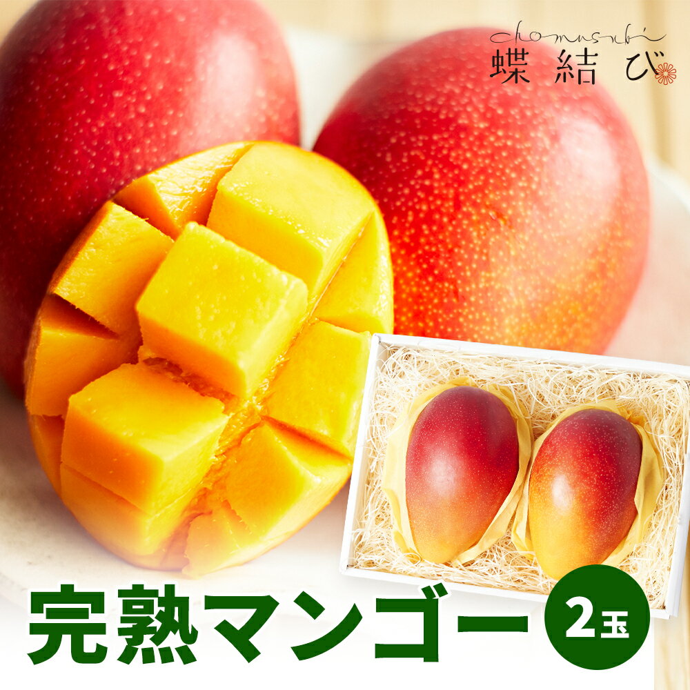 完熟マンゴー 2玉 マンゴー 宮崎 沖縄 県産 フルーツ 果物 トロピカルフルーツ 南国 大きい 甘い ギフト フルーツギフト 贈り物 プレゼント 贈答 ごちそう 高級 お祝い 内祝 快気祝い 新生活 母の日 お返し 熨斗ラッピング メッセージカード 蝶結び