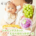 出産祝いギフト シャインマスカット× えらべるわっかボール シャインマスカット 出産 祝い ギフト フルーツ 果物 おもちゃ フルーツギフト プレゼント ママ ...