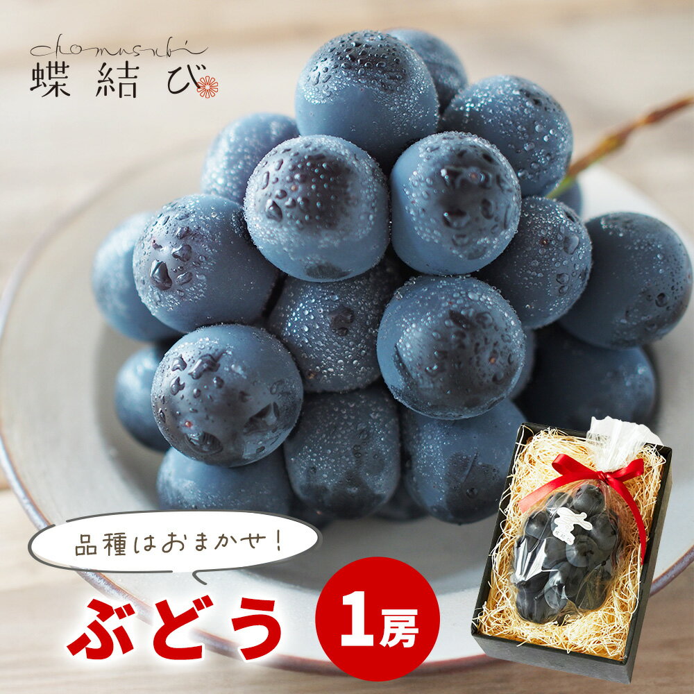 11月20日20時よりP5倍★ 品種おまかせ ぶどう 1房 ぶどう ブドウ 葡萄 ピオーネ ナガノパープル クイン..