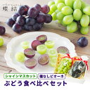 ぶどう 食べくらべ セット シャインマスカット 種なし ピオーネ 食べ比べ 果物 フルーツ フルーツギフト ギフト プレゼント 贈答 お中元 御中元 夏ギフト暑中見舞い お誕生日 お祝い 内祝 熨斗 包装紙 メッセージカード付 送料無料 蝶結び