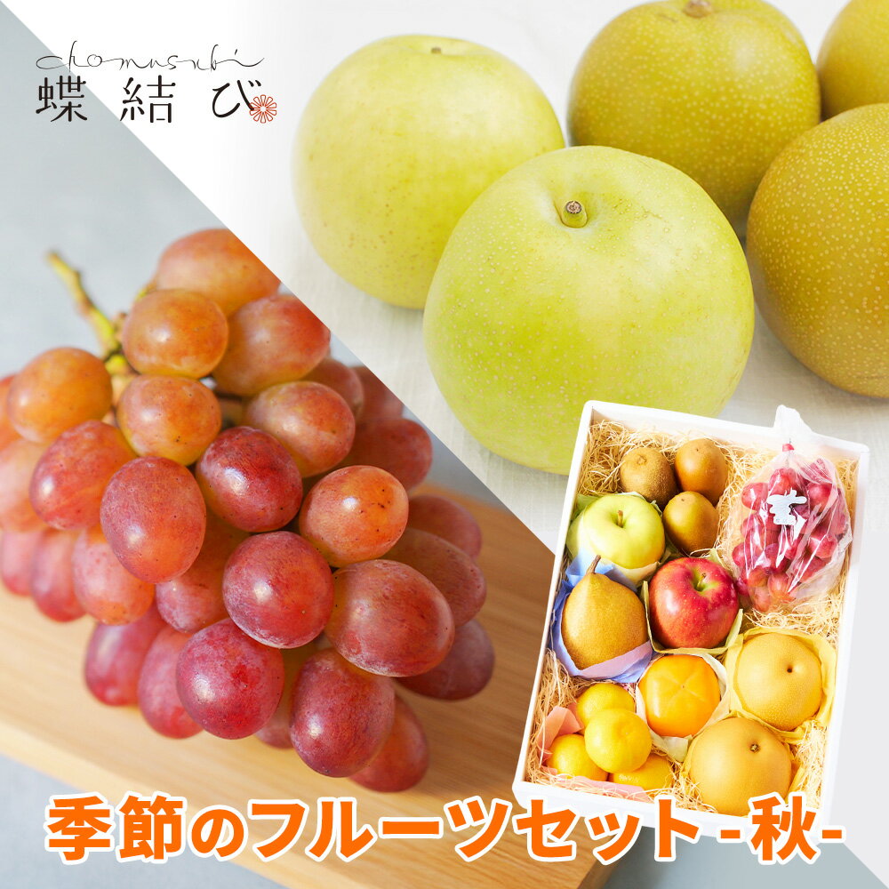 季節のフルーツセット - 秋 - 品種はおまかせ！ 送料無料 ぶどう 葡萄 なし 梨 りんご 林檎 蜜柑 みかん フルーツ 果物 詰め合わせギフト 高級フルーツ 贈答用フルーツ 誕生日 出産祝い 内祝 熨斗 メッセージカード付 蝶結び