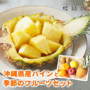 沖縄 県産 パイン と 季節 の フルーツセット フルーツギフト 果物詰め合わせギフト パイナップル スナックパイン 果物 フルーツ ギフト フルーツギフト 子...