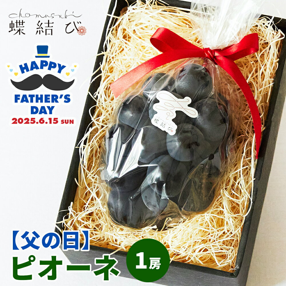 父の日早割 種なしピオーネ1房 種無しピオーネ フルーツ 果物 父の日 甘い ギフト フルーツギフト 贈り物 プレゼント 贈答 高級 父の日プレゼント 父の日ギフト ラッピング メッセージカード 蝶結び