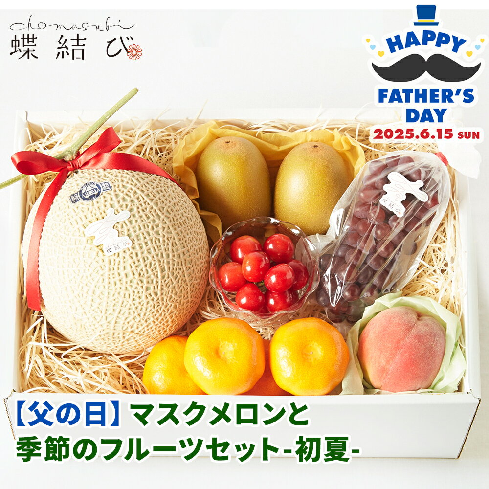父の日当日お届けは6月11日までOK! マスクメロンと季節のフルーツセット-初夏- メロン ぶどう パイン ぶどう さくらんぼ 柑橘 桃 キウイ 父の日プレゼント 父の日 ギフト 父の日ギフト 果物 フルーツ フルーツギフト プレゼントラッピング メッセージカード 蝶結び