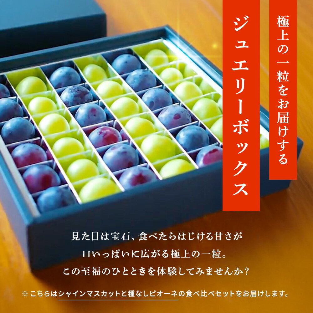 シャインマスカット と 種なし ピオーネ の ジュエリーボックス 36粒 食べくらべ 2種 ブドウ 葡萄 マスカット　種なしピオーネ 黒ぶどう 食べ比べ 果物 フルーツ フルーツギフト プレゼント お中元 お取り寄せ ごほうび 熨斗 ラッピング メッセージカード 高級 蝶結び