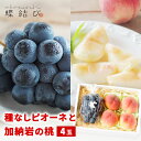 種なしピオーネと加納岩の桃4玉 ぶどう ピオーネ 種なし まるかのもも もも 桃 フルーツ ギフト フルーツギフト お中元 御中元 夏ギフト暑中見舞い お祝い ...