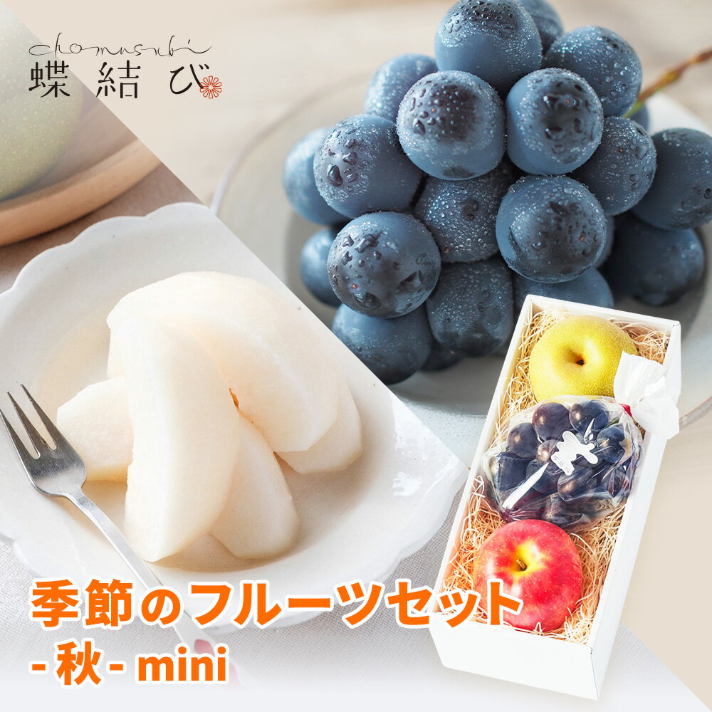 季節 の フルーツセット -初秋-mini- ぶどう 梨 なし りんご ギフト 果物 フルーツ ギフト プレゼント 秋 高級フルーツ 贈答用フルーツ 贈答用 誕生日 お祝い 贈り物 誕生日 お礼 内祝 熨斗 メッセージカード付 高級 蝶結び