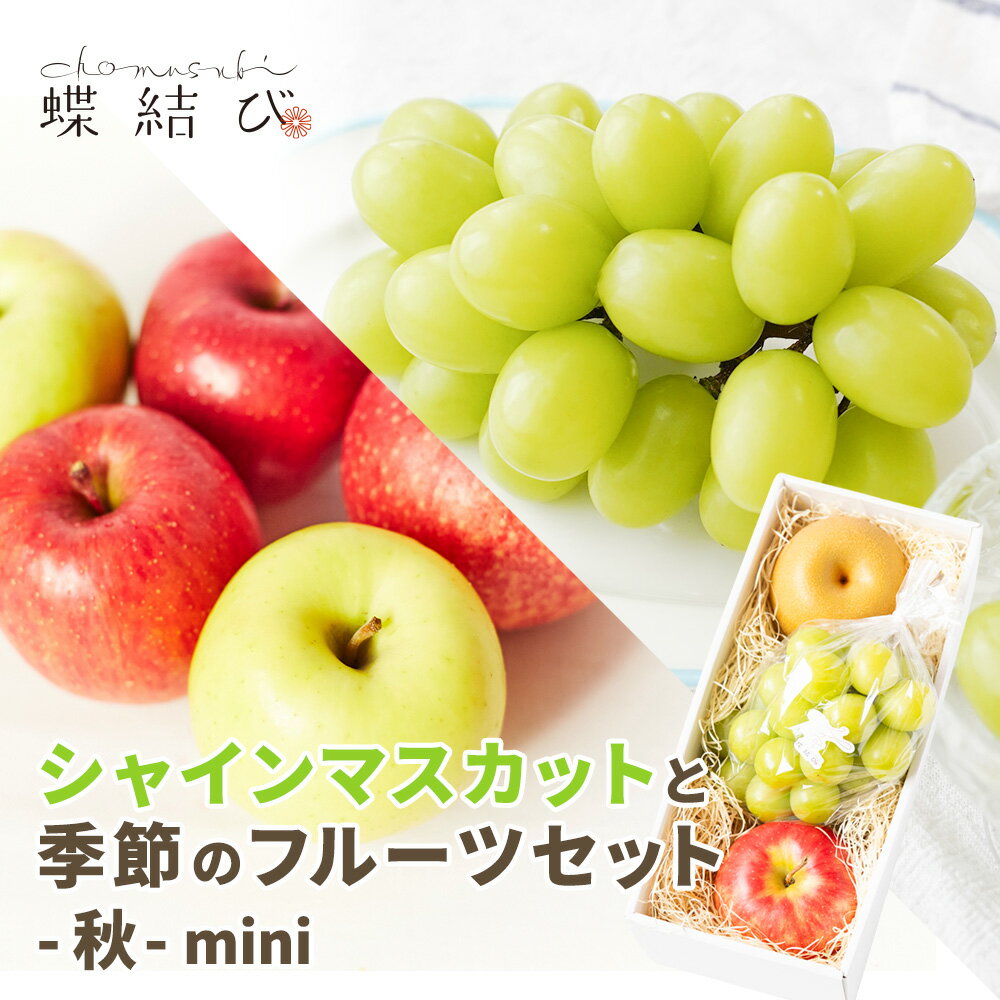 シャインマスカットと季節のフルーツセット秋 -mini- 【 送料無料 】シャインマスカット 梨 なし りんご 林檎 果物 フルーツ ギフト プレゼント 贈り物 お返し 内祝 熨斗 贈答 贈答用 勤労感謝の日 メッセージカード付 高級 等級 蝶結び