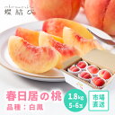 桃 春日居の桃 白鳳 特秀 約1.8kg 5-6玉 【指定日配送不可】 春日居 山梨県産 市場直送 モモ もも 大玉 果物 フルーツ ギフト フルーツギフト お...