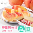 桃 春日居の桃 白鳳 特秀 約5kg 15-16玉 春日居 山梨県産 市場直送 あまい ジューシー 柔らかい モモ もも 大玉 果物 フルーツ ギフト フルーツ...
