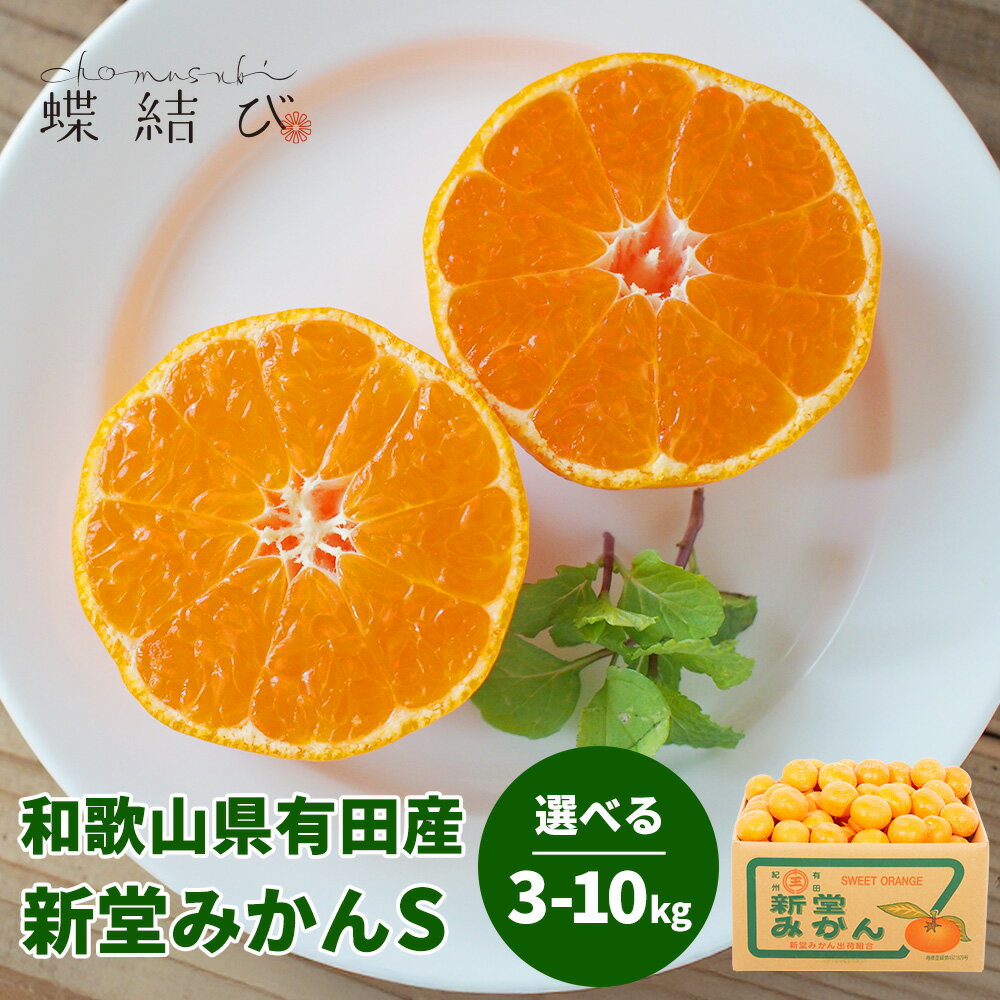 【11月末以降お届け】 新堂みかん Sサイズ 選べる 3kg 5kg 10kg （約35個～110個）みかん ミカン 和歌山 有田みかん 有田 果物 ギフト お歳暮 御歳暮 お年賀 お正月 お取り寄せ ブランドみかん 熨斗 メッセージカード付 蝶結び