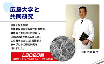 【送料無料】らくれん 8020ヨーグルト 110g×20個入【クール便配送】