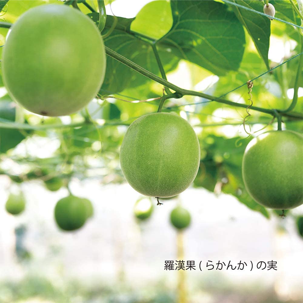 ラカントS顆粒600gtimes;3袋セット