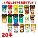 期間特価★2種類(合計20本)選べる 森永 マウントレーニア TBC リプトン まとめ買い(カフェラッテ ノンシュガー クリーミーラテ エスプレッソ モカチーノ ストロベリー 抹茶ラテ メープル ココア カフェインレスなど)240ml 10本×2ケース【要冷蔵】