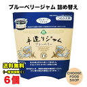 カンピー グリーンウッド 手造り ジャム ブルーベリー 詰め替え用 500g×6袋入 GREEN WOOD 送料無料(北海道・東北・沖縄除く)