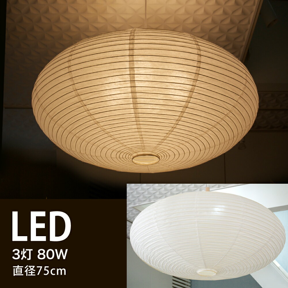 ڥȥ饤 LED  ľ 75cm     LED 3 ¥   ëŹ