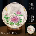 盆提灯 ミニサイズ テーブルライト おしゃれ 【 LED 5寸丸 提灯 牡丹 / 芙蓉 箱入り 】 盆ちょうちん お盆提灯 ミニ モダン コードレス 花 新型 ...