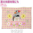 キンカチョウ 錦華鳥 錦花鳥 誕生日プレゼント ギフト グッズ 雑貨 ひざ掛け ソフトブランケット お昼寝 ペット用 実用的なプレゼント 鳥 名入れ 名前入れ 文字入れ 寝具 赤ちゃん用毛布 暖かい 車用 出産祝い おしゃれ かわいい KYAPIArt きゃぴあーと